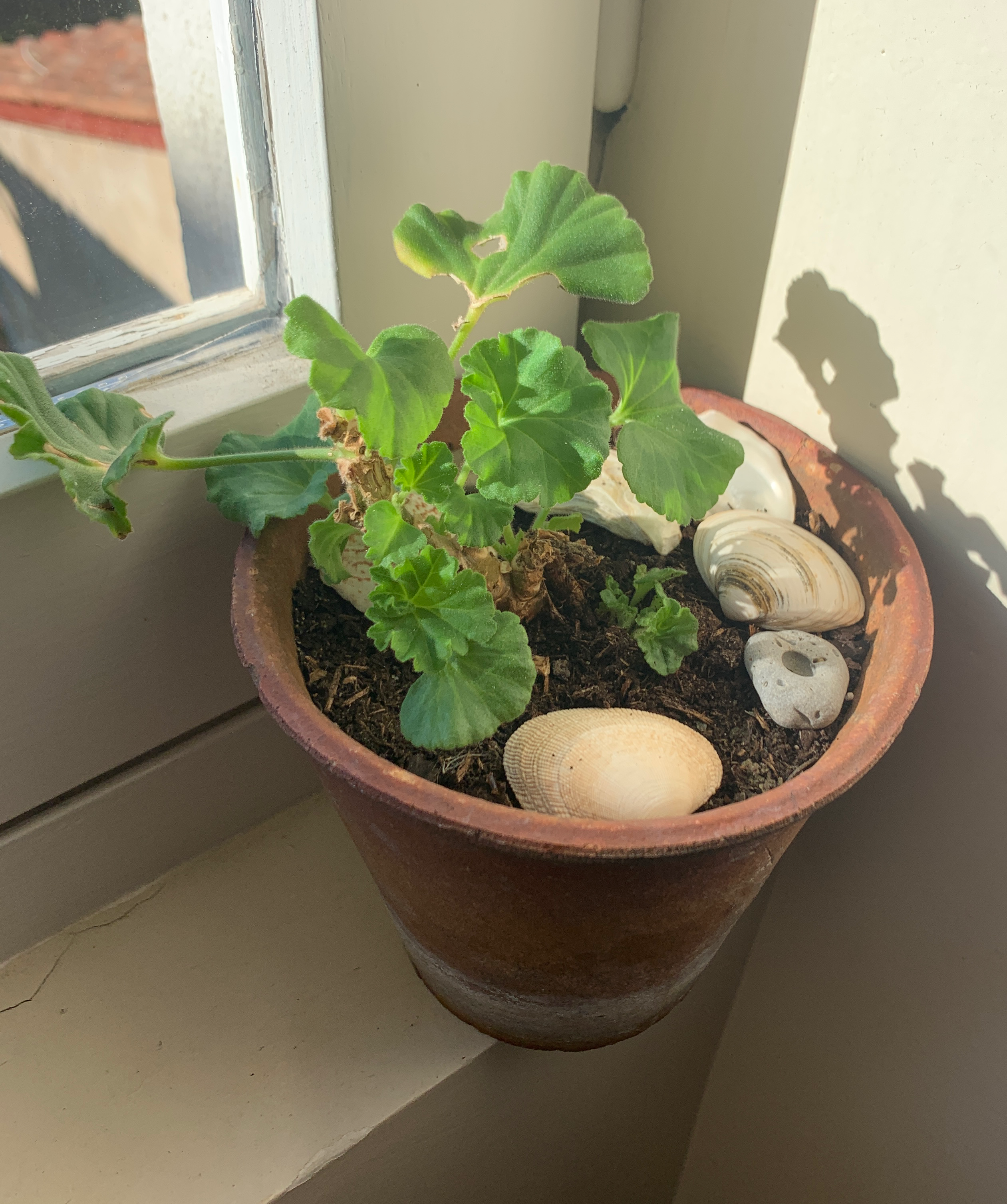 Anatomy of an NDE – Part 2: Life Review